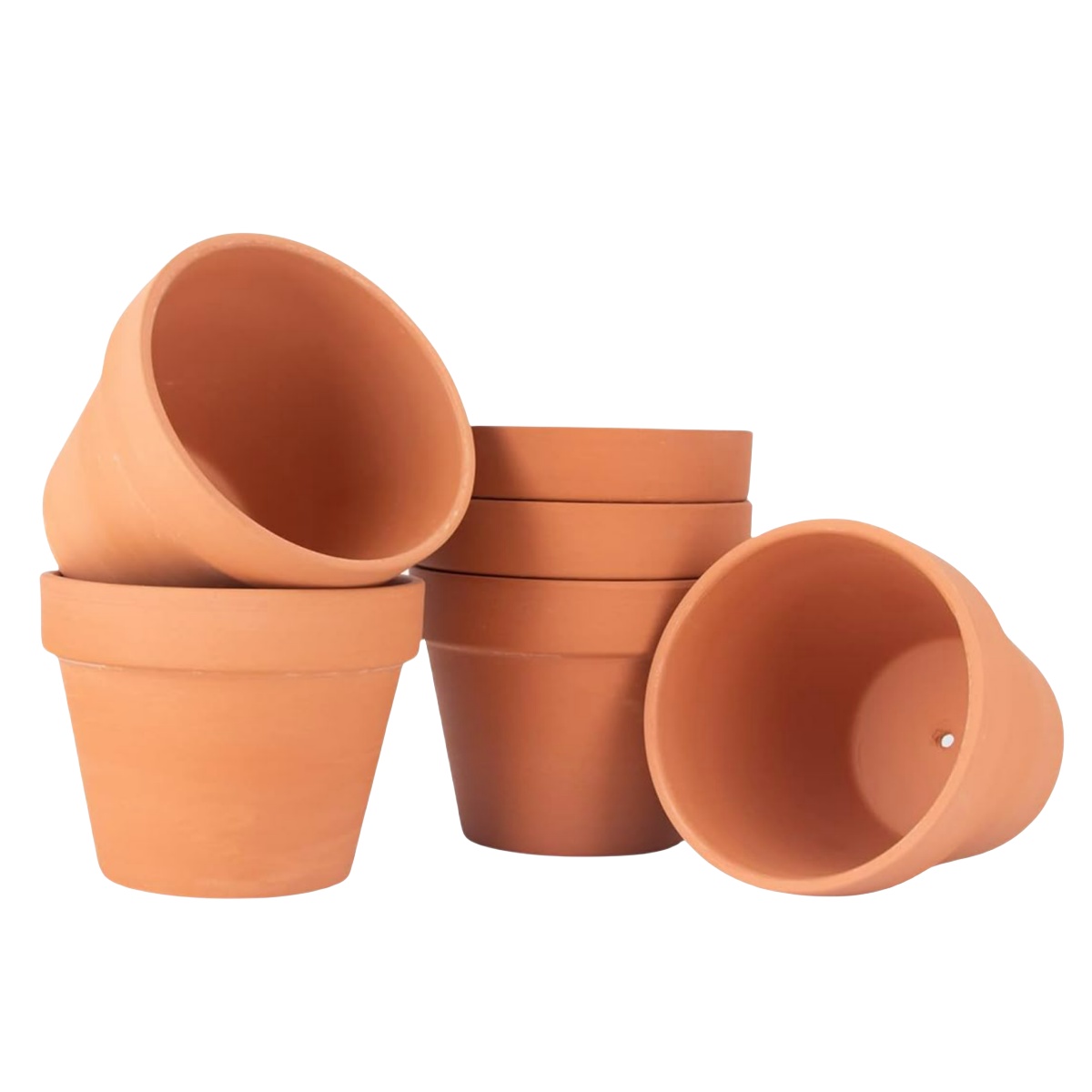 6 個 4 インチテラコッタポットフラワーポット粘土陶器プラ - Echeveria Succulent のレビューと価格