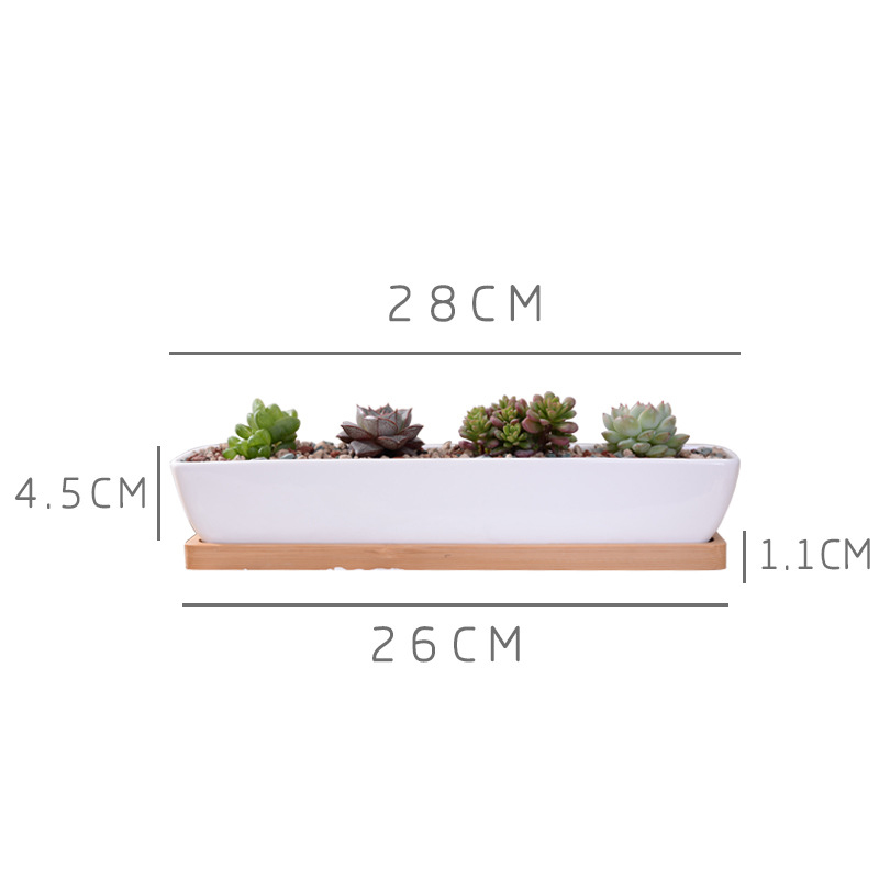 長い長方形の白いセラミック多肉植物プランターポット、竹トレイ - Echeveria Succulent のレビューと価格