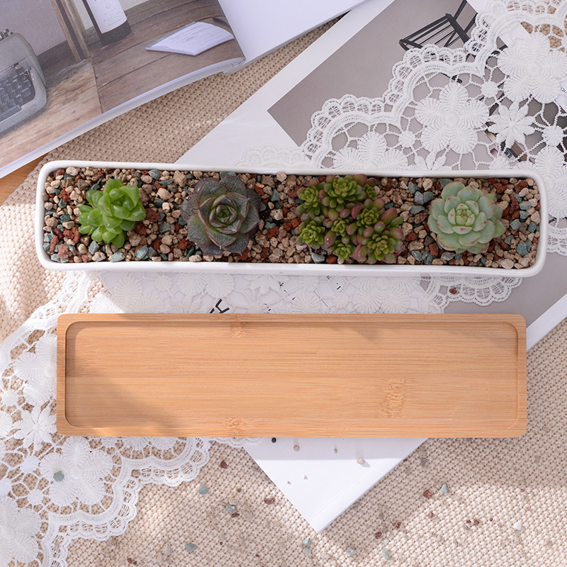 長い長方形の白いセラミック多肉植物プランターポット、竹トレイ - Echeveria Succulent のレビューと価格