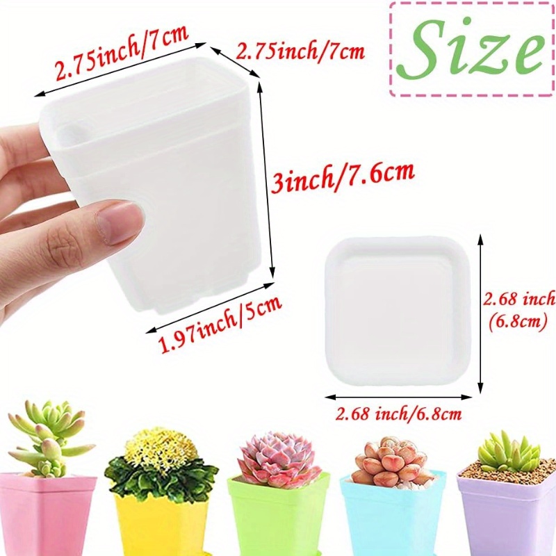 14/20/42個セットのカラフルな植木鉢、トレイ付きの正方 - Echeveria Succulent のレビューと価格