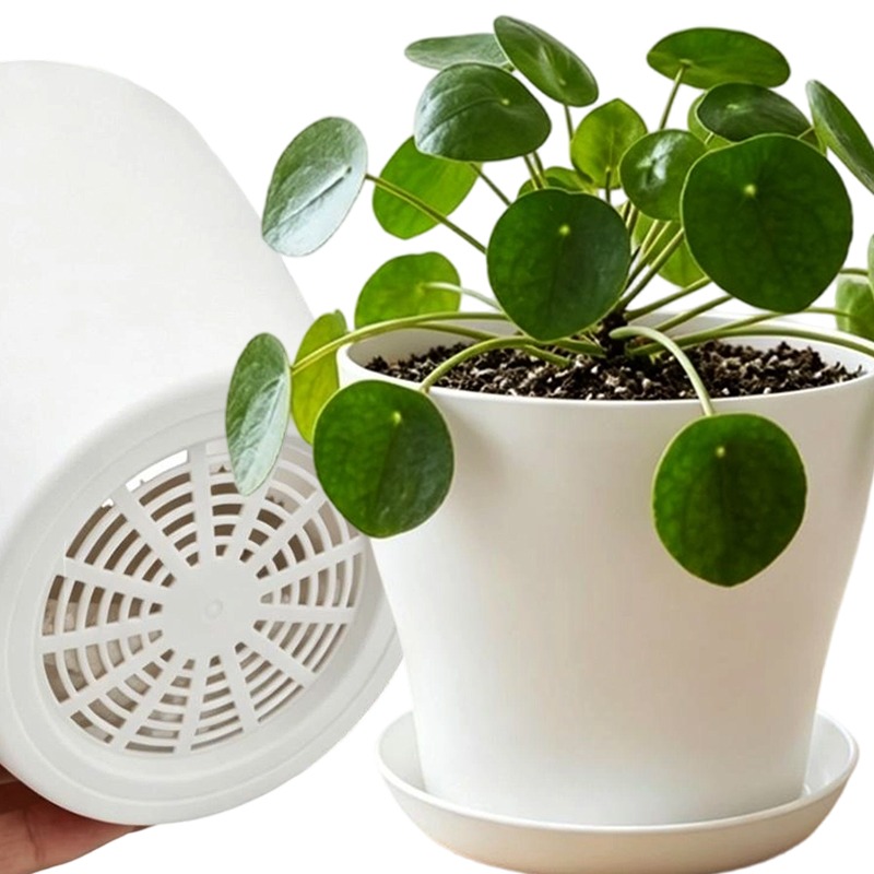 排水穴とマッチングトレイ付きの植木鉢セット PP樹脂製 カラ - Echeveria Succulent のレビューと価格